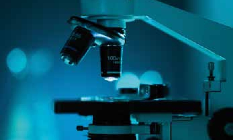 Os belgas são pioneiros na nanotecnologia.